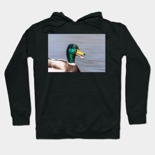 The happy duck Hoodie